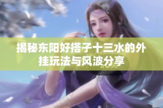 揭秘东阳好搭子十三水的外挂玩法与风波分享