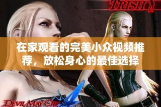 在家观看的完美小众视频推荐，放松身心的最佳选择