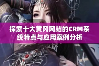 探索十大黄冈网站的CRM系统特点与应用案例分析