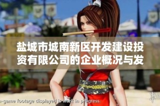 盐城市城南新区开发建设投资有限公司的企业概况与发展动态解析