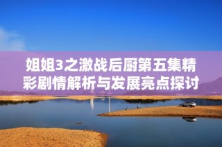 姐姐3之激战后厨第五集精彩剧情解析与发展亮点探讨