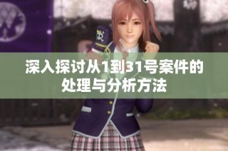 深入探讨从1到31号案件的处理与分析方法