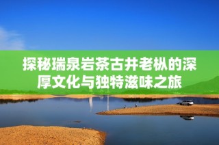 探秘瑞泉岩茶古井老枞的深厚文化与独特滋味之旅
