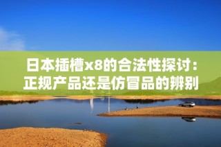 日本插槽x8的合法性探讨：正规产品还是仿冒品的辨别分析