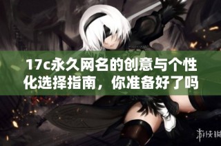 17c永久网名的创意与个性化选择指南，你准备好了吗