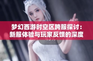 梦幻西游时空区跨服探讨：新服体验与玩家反馈的深度解读