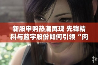 新股申购热潮再现 先锋精科与蓝宇股份如何引领“肉签”风潮