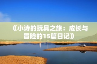《小诗的玩具之旅：成长与冒险的15篇日记》