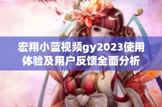 宏翔小蓝视频gy2023使用体验及用户反馈全面分析