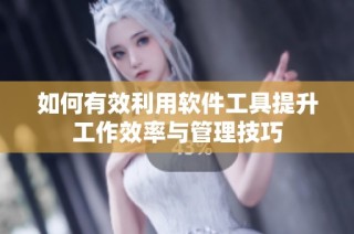 如何有效利用软件工具提升工作效率与管理技巧