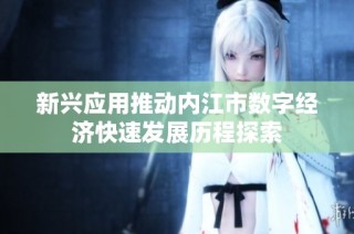 新兴应用推动内江市数字经济快速发展历程探索