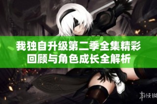 我独自升级第二季全集精彩回顾与角色成长全解析
