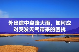外出途中突降大雨，如何应对突发天气带来的困扰