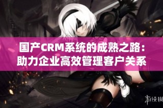 国产CRM系统的成熟之路：助力企业高效管理客户关系