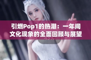 引燃Pop1的热潮：一年间文化现象的全面回顾与展望