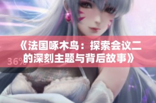 《法国啄木鸟：探索会议二的深刻主题与背后故事》