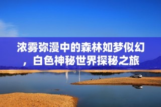 浓雾弥漫中的森林如梦似幻，白色神秘世界探秘之旅