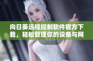 向日葵远程控制软件官方下载，轻松管理你的设备与网络