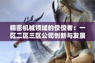 精密机械领域的佼佼者：一区二区三区公司创新与发展之路