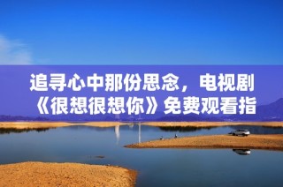 追寻心中那份思念，电视剧《很想很想你》免费观看指南