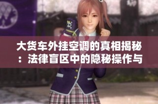 大货车外挂空调的真相揭秘：法律盲区中的隐秘操作与风险分析