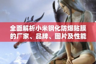 全面解析小米钢化防爆贴膜的厂家、品牌、图片及性能特点等资讯一览