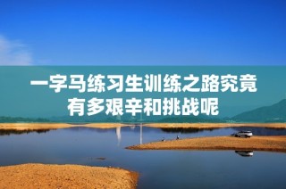 一字马练习生训练之路究竟有多艰辛和挑战呢