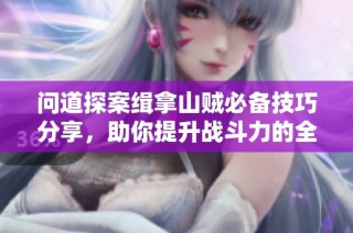 问道探案缉拿山贼必备技巧分享，助你提升战斗力的全攻略