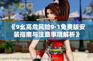《9幺高危风险9·1免费版安装指南与注意事项解析》
