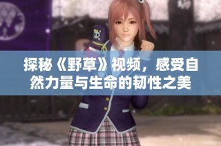 探秘《野草》视频，感受自然力量与生命的韧性之美