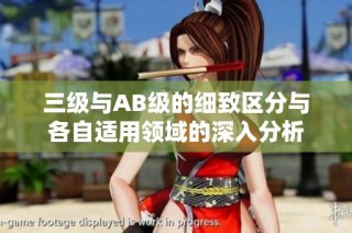 三级与AB级的细致区分与各自适用领域的深入分析