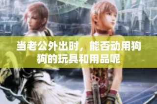 当老公外出时，能否动用狗狗的玩具和用品呢