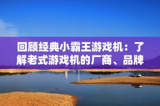 回顾经典小霸王游戏机：了解老式游戏机的厂商、品牌和图片展示