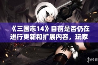 《三国志14》目前是否仍在进行更新和扩展内容，玩家如何看待其未来发展