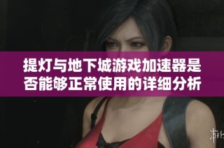 提灯与地下城游戏加速器是否能够正常使用的详细分析与讨论
