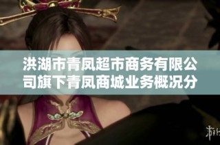 洪湖市青凤超市商务有限公司旗下青凤商城业务概况分析