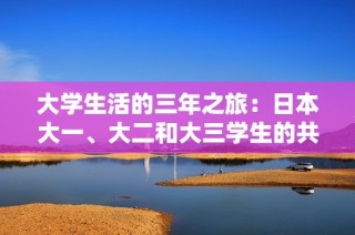 大学生活的三年之旅：日本大一、大二和大三学生的共同成长与探索