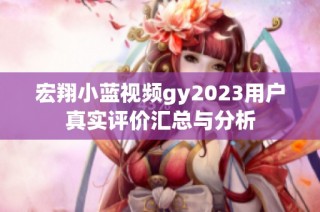 宏翔小蓝视频gy2023用户真实评价汇总与分析