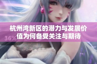 杭州湾新区的潜力与发展价值为何备受关注与期待
