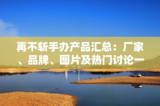 再不斩手办产品汇总：厂家、品牌、图片及热门讨论一览