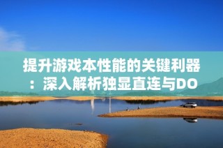 提升游戏本性能的关键利器：深入解析独显直连与DOU小助手