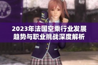 2023年法国空乘行业发展趋势与职业挑战深度解析