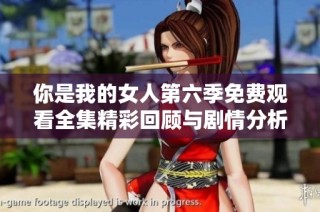 你是我的女人第六季免费观看全集精彩回顾与剧情分析