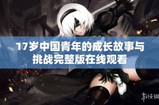 17岁中国青年的成长故事与挑战完整版在线观看