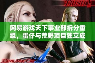 网易游戏天下事业部拆分重组，蛋仔与荒野项目独立成新事业部