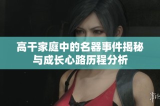高干家庭中的名器事件揭秘与成长心路历程分析