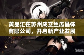 黄品汇在苏州成立丝瓜晶体有限公司，开启新产业发展篇章