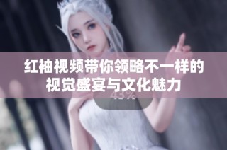红袖视频带你领略不一样的视觉盛宴与文化魅力