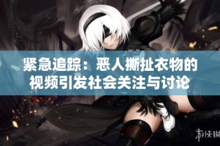 紧急追踪：恶人撕扯衣物的视频引发社会关注与讨论