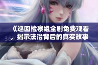 《巡回检察组全剧免费观看，揭示法治背后的真实故事》